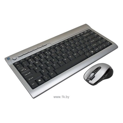 A4Tech RKS-670D Silver-black USB