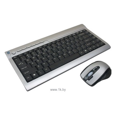 A4Tech RKS-670MD Silver-black USB