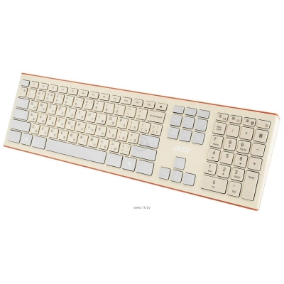 Acer OCC200 Beige