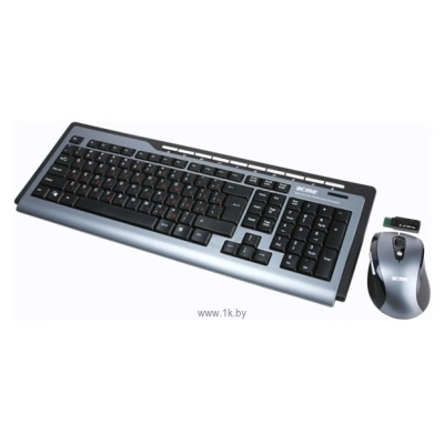 ACME Wireless Keyboard and Mouse Set WS02 black USB