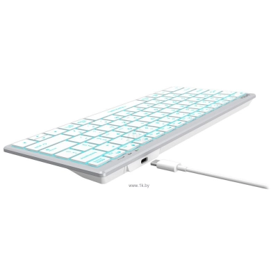 A4Tech Fstyler FX61 silver/white