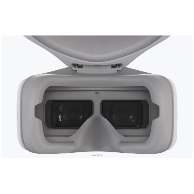 DJI Goggles