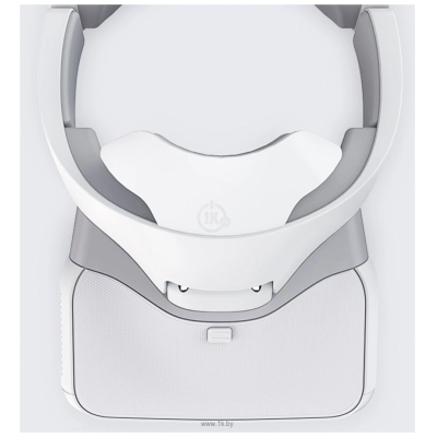 DJI Goggles