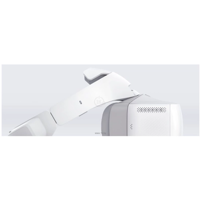 DJI Goggles