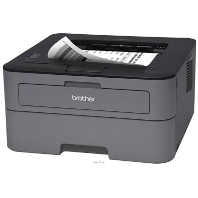 Brother HL-L2300D