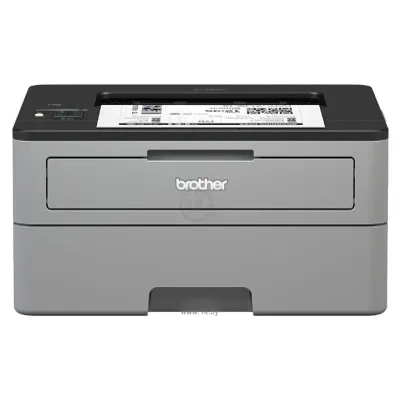 Brother HL-L2350DW