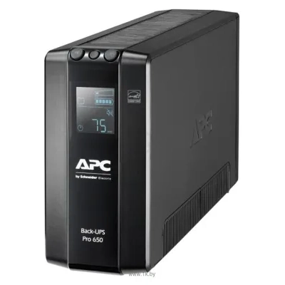 APC by Schneider Electric BR650MI