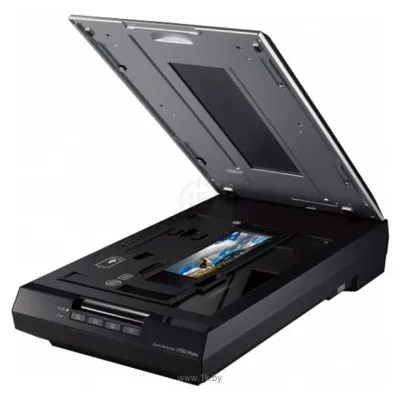 Epson Perfection V550 Photo