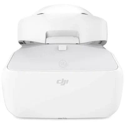 DJI Goggles