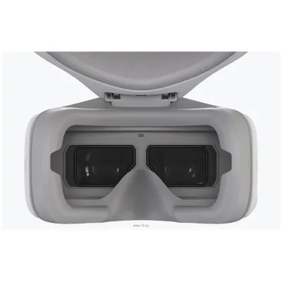 DJI Goggles