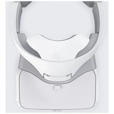 DJI Goggles