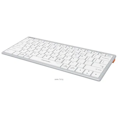 A4Tech Fstyler FBX51C silver/white