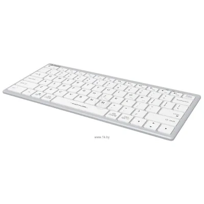 A4Tech Fstyler FX51 silver/white