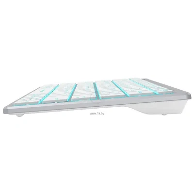 A4Tech Fstyler FX61 silver/white