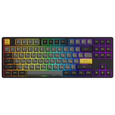Akko 5087S black & Gold  CS Jelly Purple