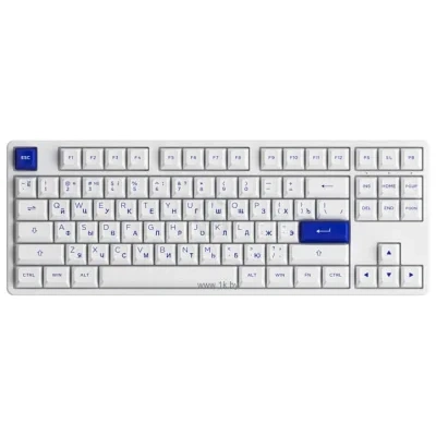 Akko 5087S White & Blue  CS Jelly Purple