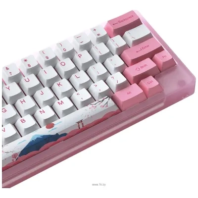 Akko ACR 59 Acrylic Tokyo  CS Jelly Pink (bez kirillitsyi)