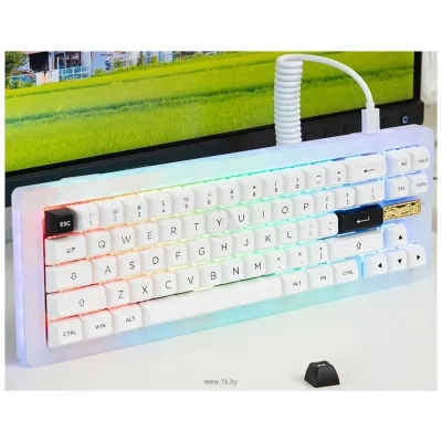 Akko ACR Pro 68 White  CS Crystal (bez kirillitsyi)