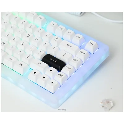 Akko ACR Pro 75 White  CS Crystal (bez kirillitsyi)