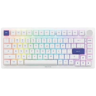Akko PC75B Plus White & Blue  CS Jelly black