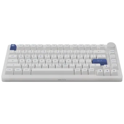 Akko PC75B Plus White & Blue  CS Jelly black