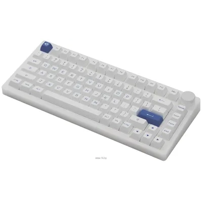 Akko PC75B Plus White & Blue  CS Jelly black