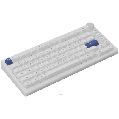 Akko PC75B Plus White & Blue  CS Jelly black