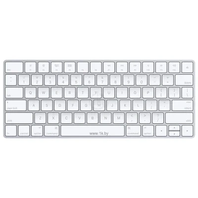 Apple Magic Keyboard net kirillitsyi