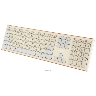 Acer OCC200 Beige