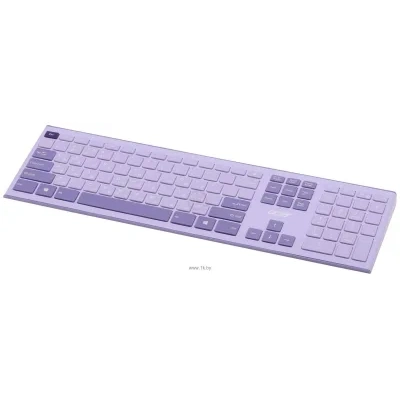 Acer OCC205 Lilac/purple