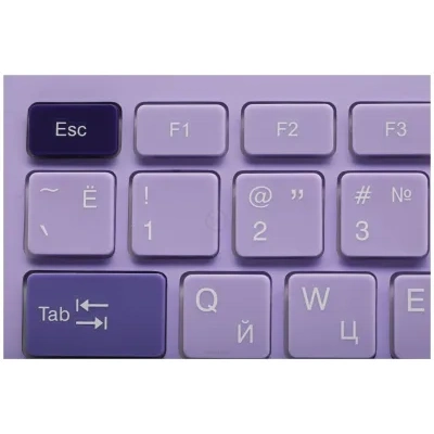 Acer OCC205 Lilac/purple