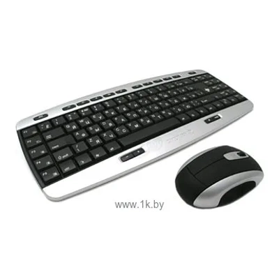 Cherry M85-20850RG Silver-black USB