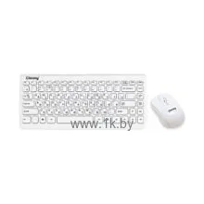 Chicony WUG0977 White USB