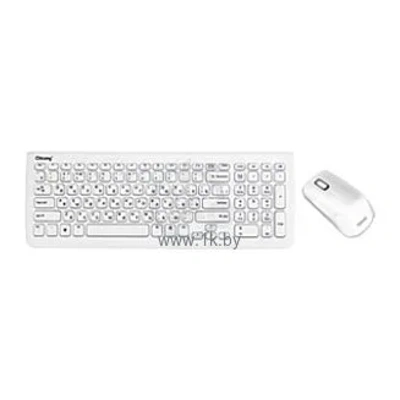 Chicony WUG1051 White USB